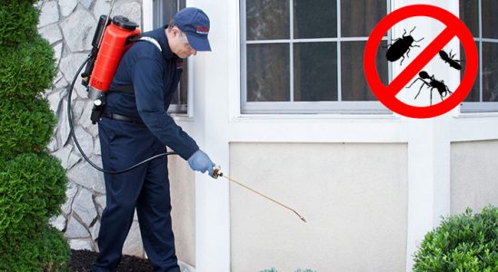 Halkapınar Fare İlaçlama böcek ilaçlama ve haşere kontrolü — ilaclama-tr.com